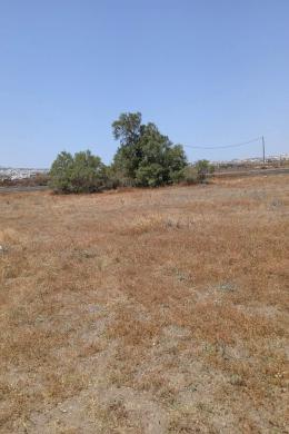 Посылки Покупка - Санторини, Эгейские острова