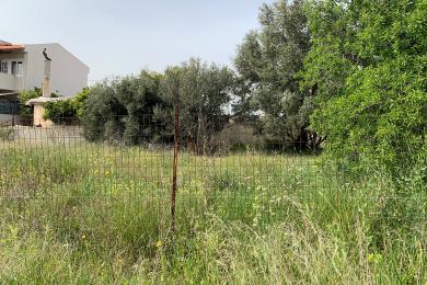 Land Sale - Artemida, Athens- Eastern Suburbs
