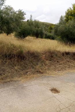 Land Lot Sale - Kalamos, Rest of Attica