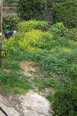 Land Sale - Agia Paraskevi, Athens - Northern Suburbs