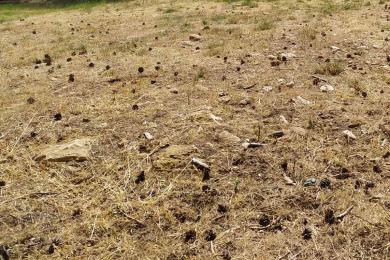 Professional Land Sale - Nea Filadelfeia, Athens - Western Suburbs