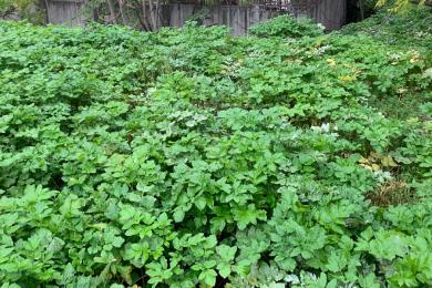 участок Покупка - Халандри, Афины - Северные пригороды