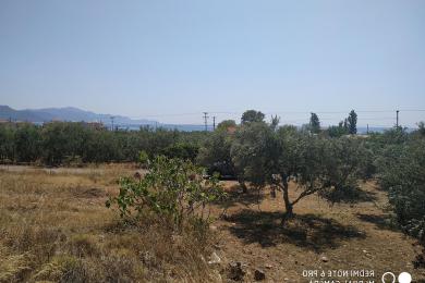 Land Sale - Monemvasia, Peloponnese