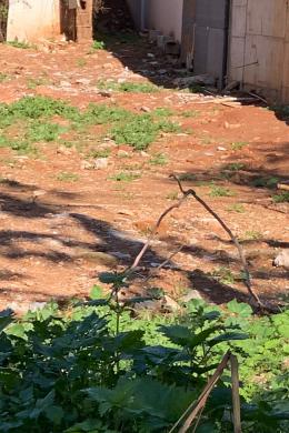 Land Sale - Chalandri, Athens - Northern Suburbs