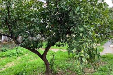 Land Sale - Marousi, Athens - Northern Suburbs