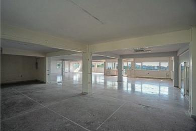 Πυλαία, Κτίριο, Πώληση, 2499.8 τ.μ