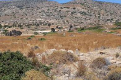 Land Lot Sale - Ios, Aegean Islands