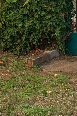 Land Sale - Gerakas, Athens- Eastern Suburbs