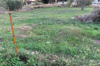 ΓΛΥΚΑ ΝΕΡΑ, ΟΙΚΟΠΕΔΟ, ΠΩΛΗΣΗ, 371 τ.μ