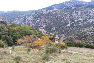 Detached House Sale - Parnassus, Central Greece (region)