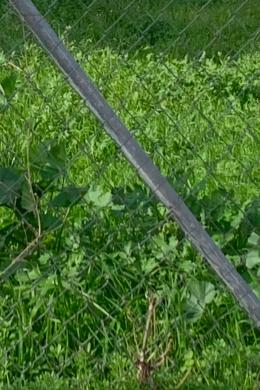 Land Sale - Chalandri, Athens - Northern Suburbs