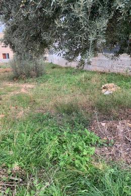 ΓΛΥΚΑ ΝΕΡΑ, ΟΙΚΟΠΕΔΟ, ΠΩΛΗΣΗ, 250 τ.μ