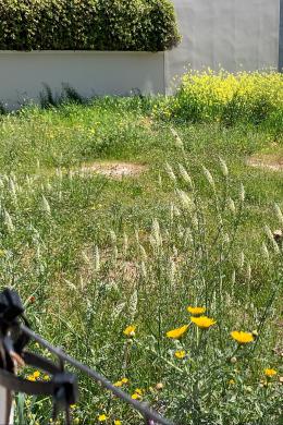 Land Sale - Gerakas, Athens- Eastern Suburbs