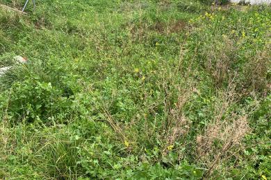 Land Sale - Chalandri, Athens - Northern Suburbs