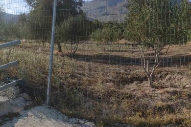 Land Lot Sale - Korinthos, Peloponnese