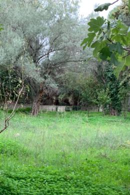 Land Sale - Gerakas, Athens- Eastern Suburbs